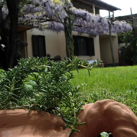Villa Caprile Massa Lubrense Oda fotoğraf