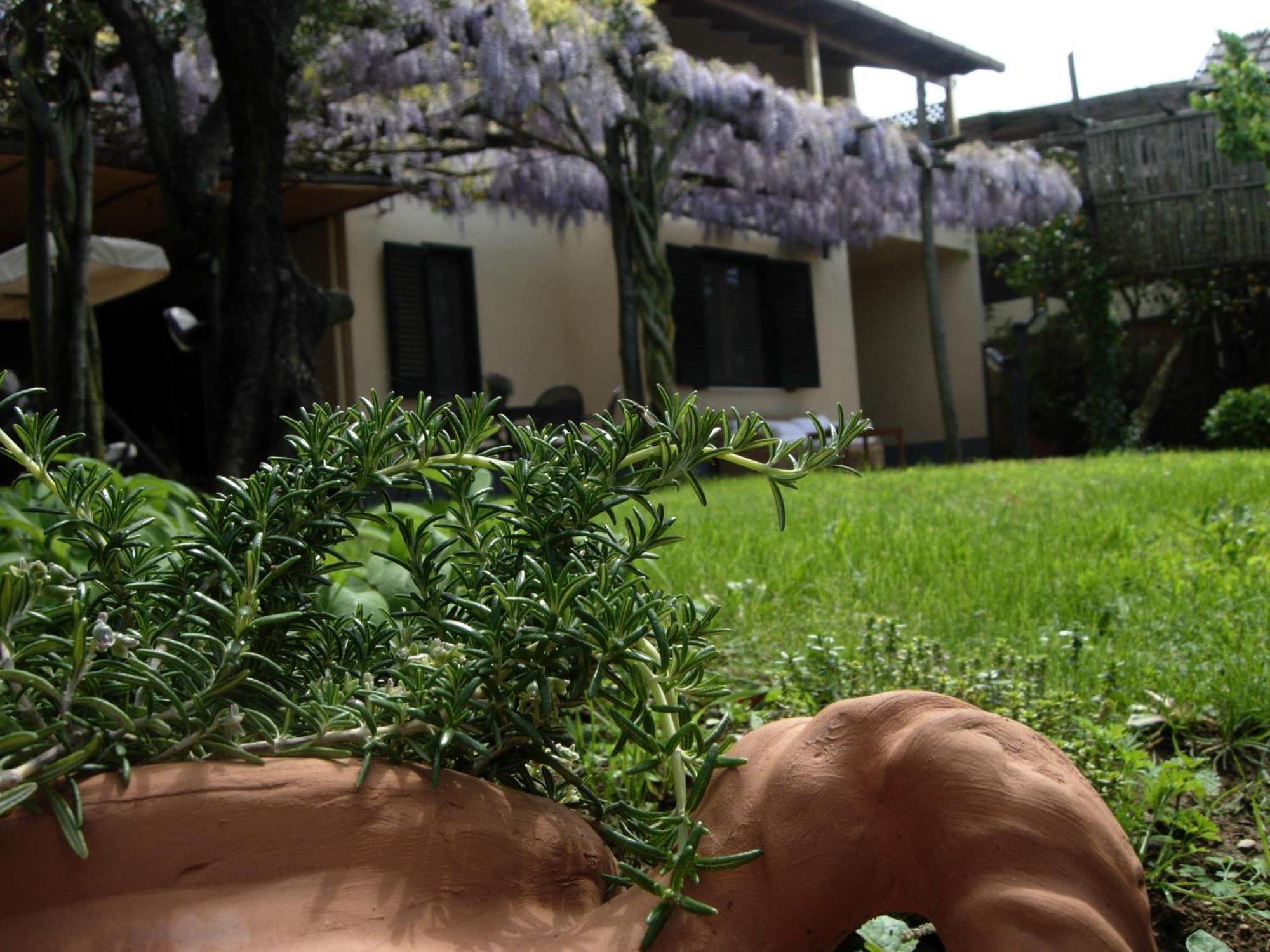 Villa Caprile Massa Lubrense Oda fotoğraf