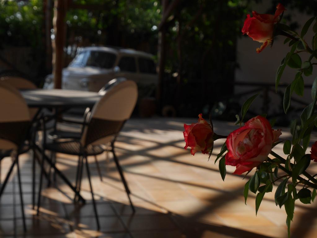 Villa Caprile Massa Lubrense Dış mekan fotoğraf
