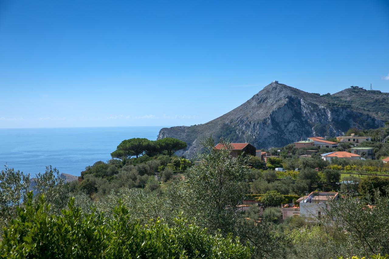Villa Caprile Massa Lubrense Dış mekan fotoğraf