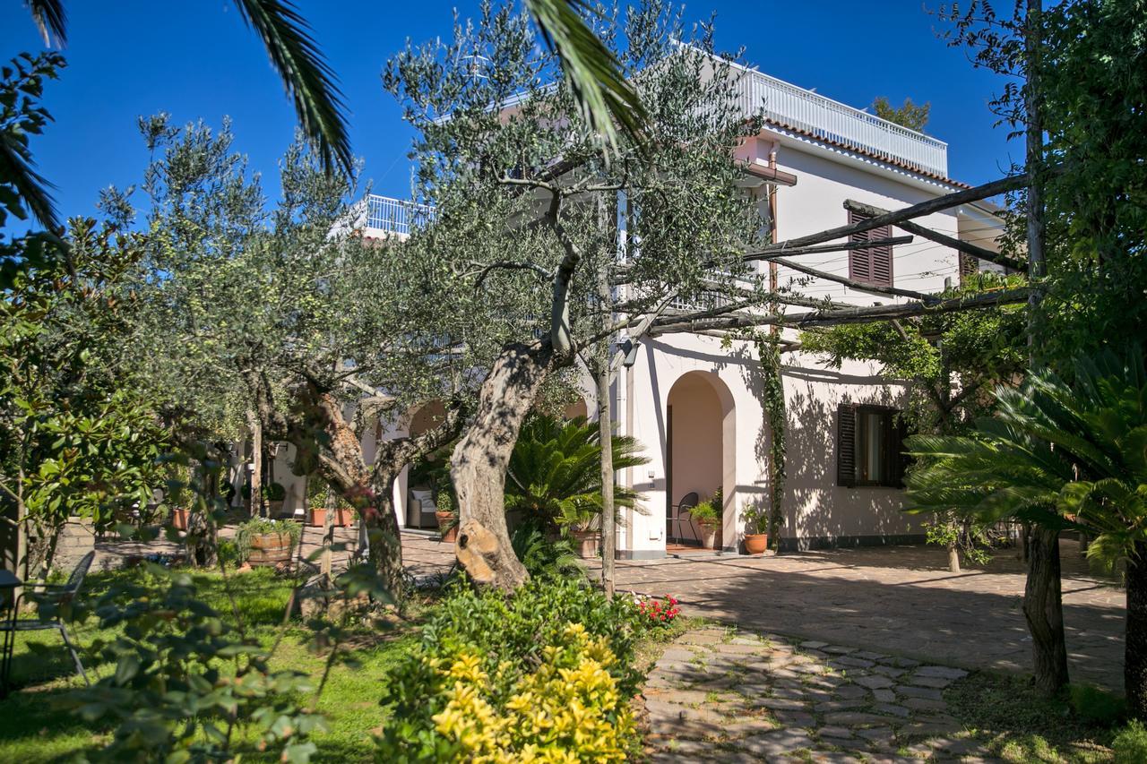 Villa Caprile Massa Lubrense Dış mekan fotoğraf