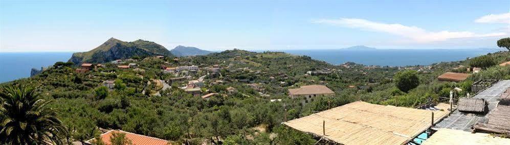 Villa Caprile Massa Lubrense Dış mekan fotoğraf